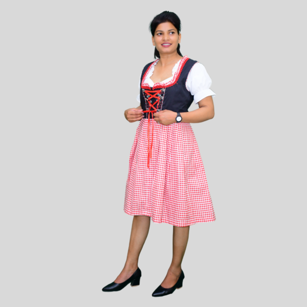 Return 900 x 900 px 2024 05 24T171037.654 Dirndl Dress Black And Red Colour DD-0014