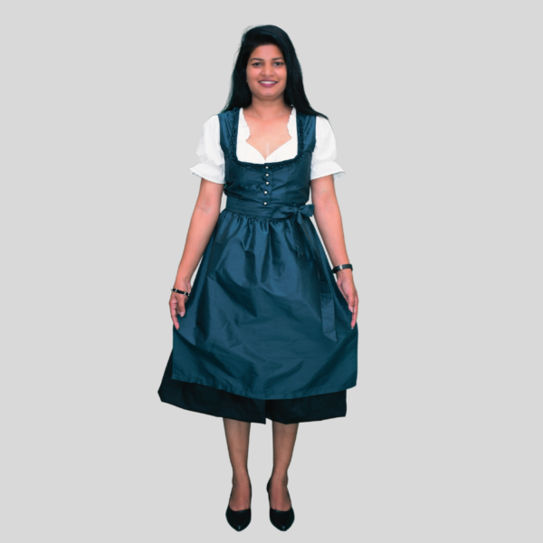 Vibrant Dirndl Dress Zinc Silk Body DD-0013