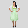 Iconic Dirndl Dress Oktoberfest Parrot Colour DD-0012 - Image 4