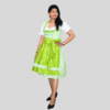 Iconic Dirndl Dress Parrot Colour DD-0012