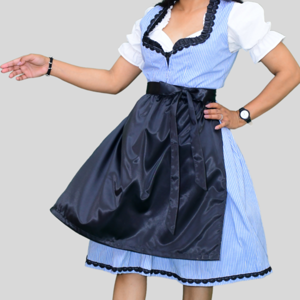 Return 900 x 900 px 2024 05 25T152001.728 Beautiful Austrian Dirndl Dress Sky Colour Lining DD-0011