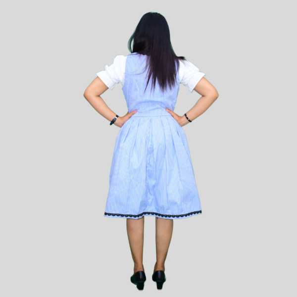 Return 900 x 900 px 2024 05 25T152431.641 Beautiful Austrian Dirndl Dress Sky Colour Lining DD-0011