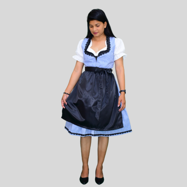 Return 900 x 900 px 2024 05 25T152714.477 Beautiful Austrian Dirndl Dress Sky Colour Lining DD-0011