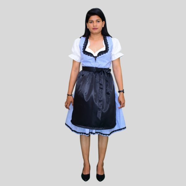 beautiful Austrian Dirndl Dress Sky Colour Lining DD-0011