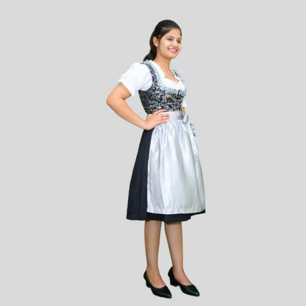 Return 900 x 900 px 2024 06 12T011310.316 New Tradition Dirndl Dress Jacquard Fabric Grey Colour DD-002