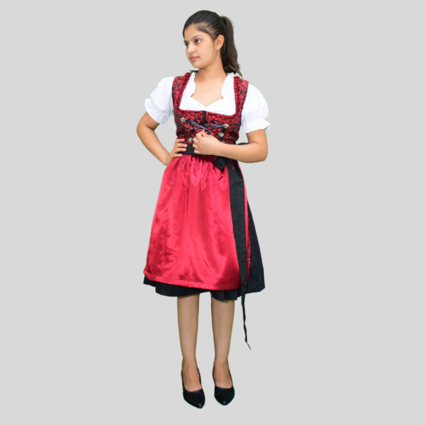 Return 900 x 900 px 2024 06 12T012608.299 Classic Dirndl Dress Maroon Colour Jacquard Fabric DD-003