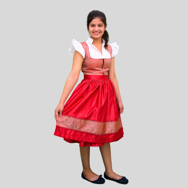 Attractive Dirndl Dress German Oktoberfest Dirndl DD-0031