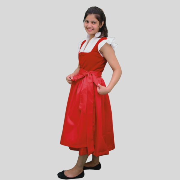 Return 900 x 900 px 67 Classic Dirndl Dress Velvet Fabric Red Colour DD-0023