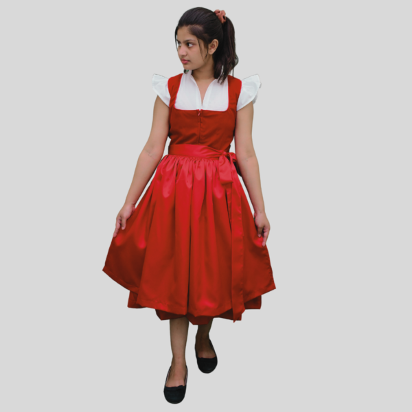 Classic Dirndl Dress Velvet Fabric Red Colour DD-0023