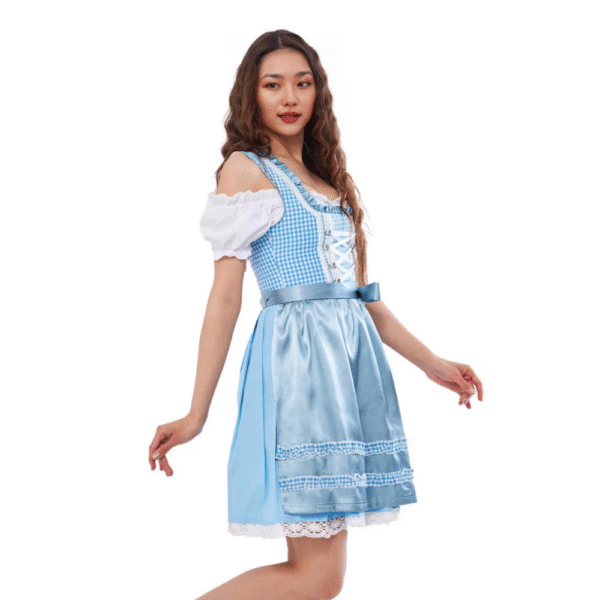 Beautiful Austrian Dirndl Dress Sky Colour Lining DD-0011