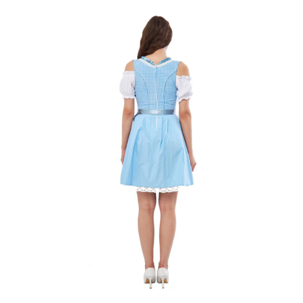 Beautiful Austrian Dirndl Dress Sky Colour Lining DD-0011